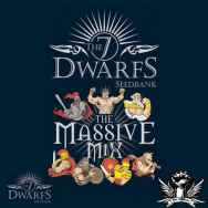 The 7 Dwarfs Seeds Massive Mix Autoflowering