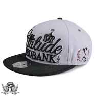 Attitude Seedbank V2 Grey Snapback