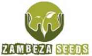 Zambeza Seeds