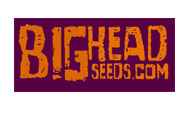 Big Head Seeds