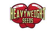 Heavyweight Seeds