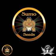Sumo Seeds After 8 OG