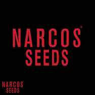 Narcos Lucky Dip