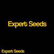 Expert Seeds Lucky Dip