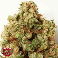 Heavyweight Seeds Green Ninja