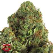 Heavyweight Seeds Midnight Mass