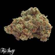 Top Shelf Elite Seeds Glue Dream