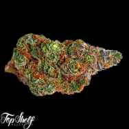 Top Shelf Elite Seeds Nightcrawler OG