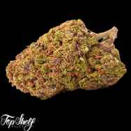 Top Shelf Elite Seeds San Francisco Sour Dough