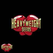 Heavyweight Seeds Lucky Dip