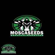 Mosca Seeds Cherry Chem