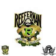 Reeferman Seeds Nigerian Nightmare