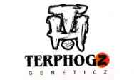 Terp Hogz Genetics (Plantinum Seeds)