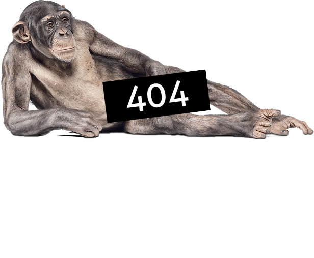 404 Error Page Monkey - The Choice Seedbank