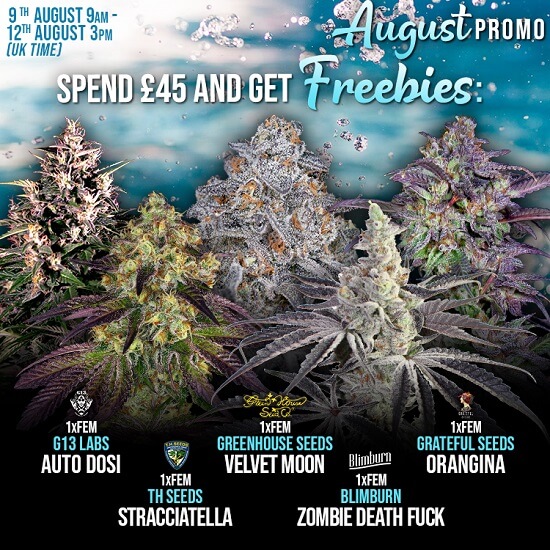 The Choice Seedbank Newsletter - August promos and offers!