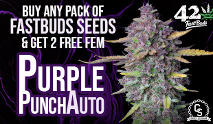 FastBuds Seeds Promotion at The Choice Seed Bank