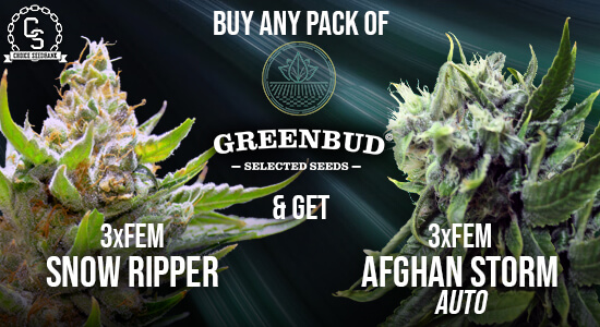 Greenbud Seeds Promotion at The Choice Seed Bank