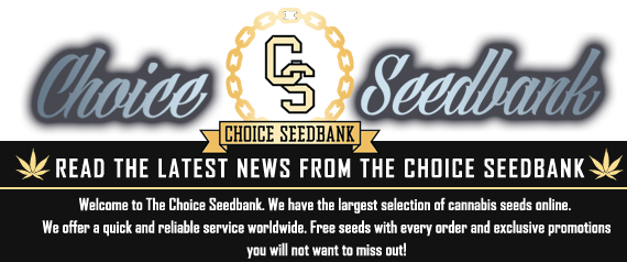 The Choice Seedbank Newsletter - January promos and offers!