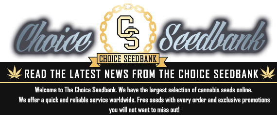 The Choice Seedbank Newsletter - March promos and offers!