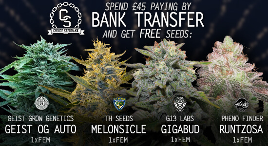 Bank Transfer Payment Promotion at The Choice Seed Bank