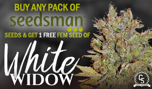 Seedsman Seeds Promotion at The Choice Seed Bank
