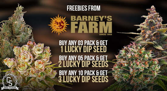 Barney's Farm Promotion at The Choice Seed Bank