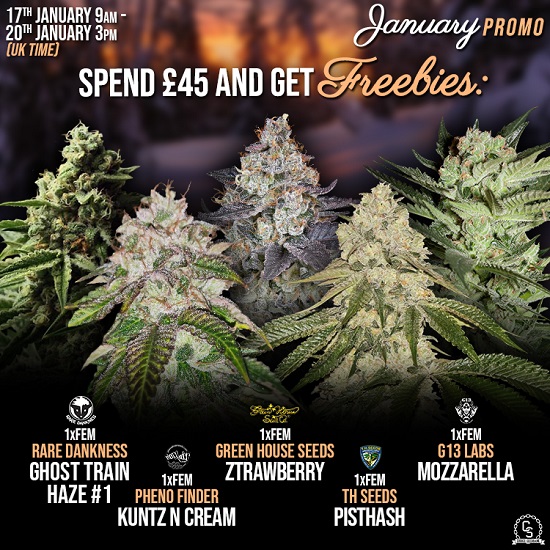 The Choice Seedbank Newsletter - January promos and offers!