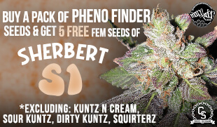 Pheno Finder Promotion at The Choice Seed Bank