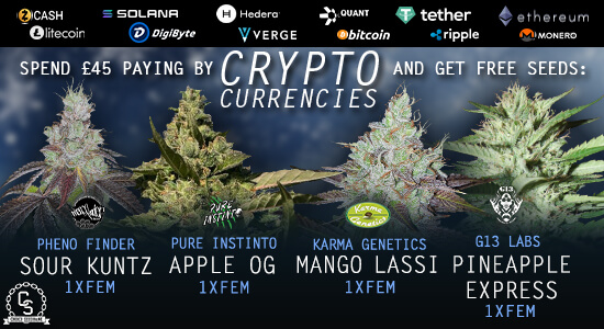 Crypto Currency Payment Promotion at The Choice Seed Bank