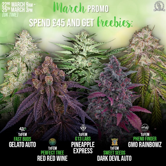 The Choice Seedbank Newsletter - March promos and offers!